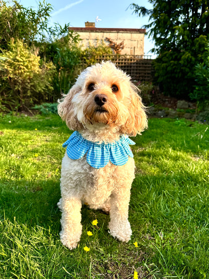 Teal Gingham Flower Power Bandana