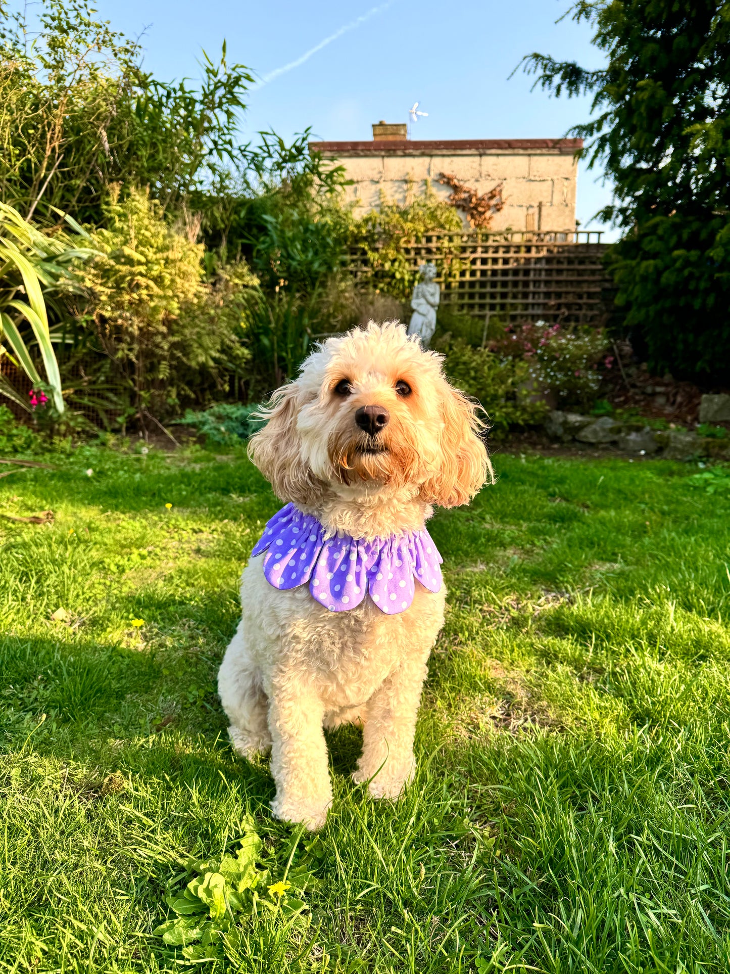 Lilac Polka Dot Flower Power Bandana