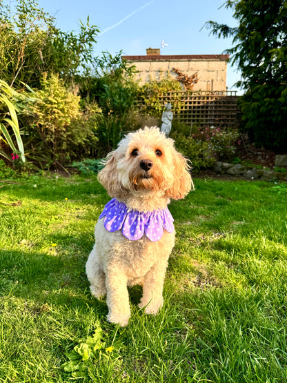 Lilac Polka Dot Flower Power Bandana