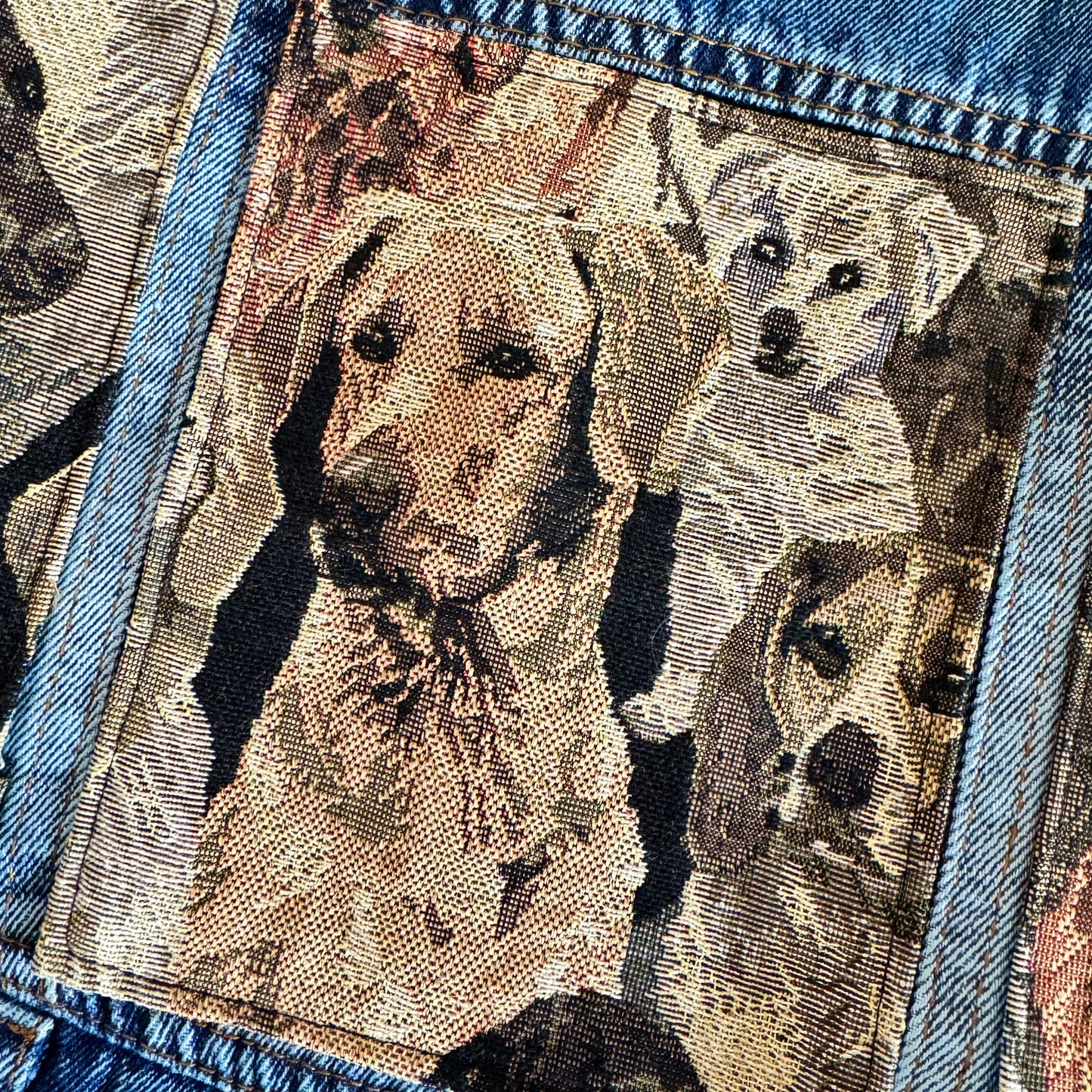 Dogs On Dogs Doggy Denim Vest