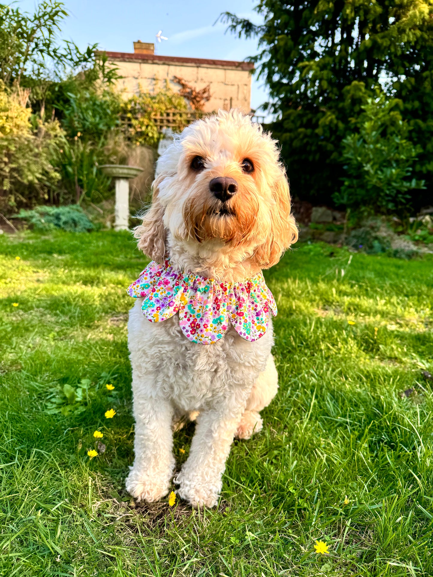 Flowery Flower Power Bandana