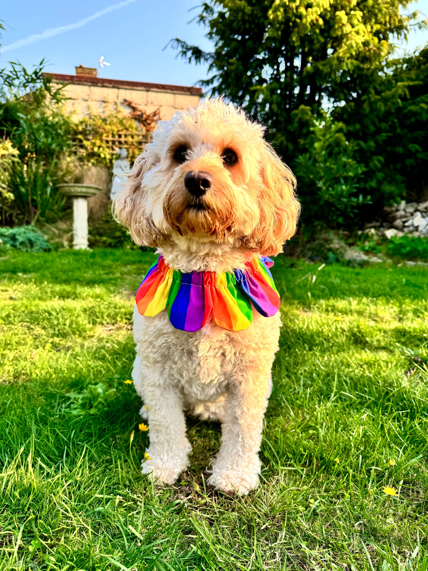 Rainbow Flower Power Bandana