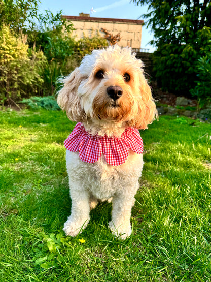 Red Gingham Flower Power Pet Bandana