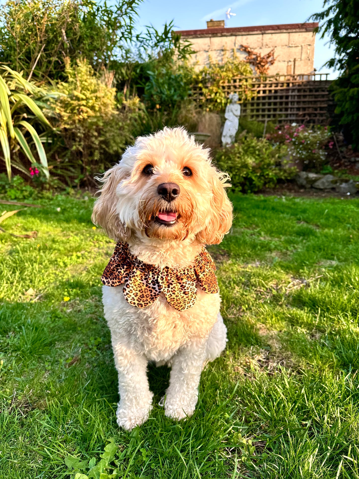 Leopard Print Flower Power Bandana